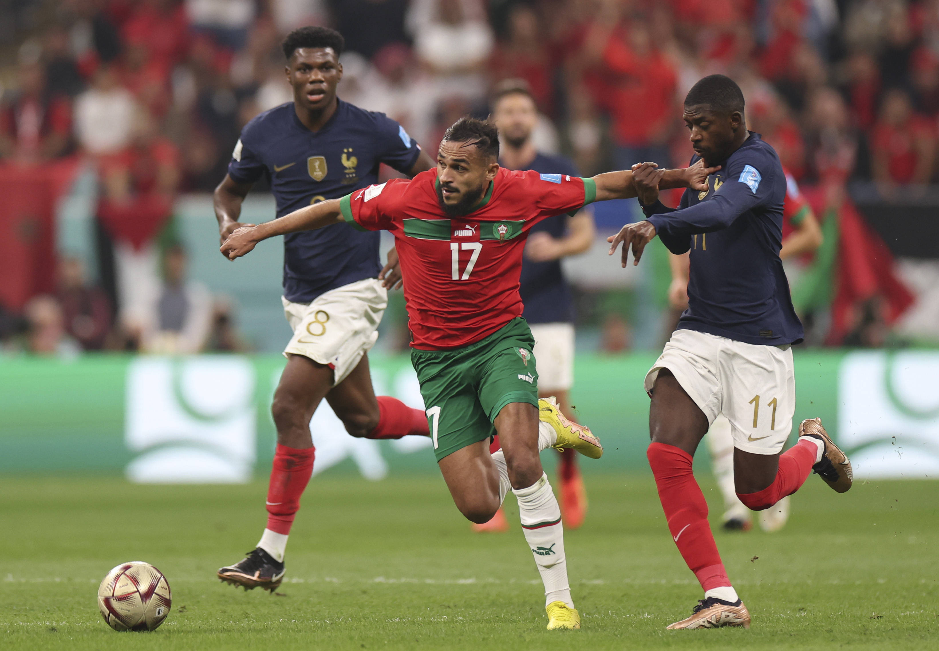 表现出的冷 表现出的冷