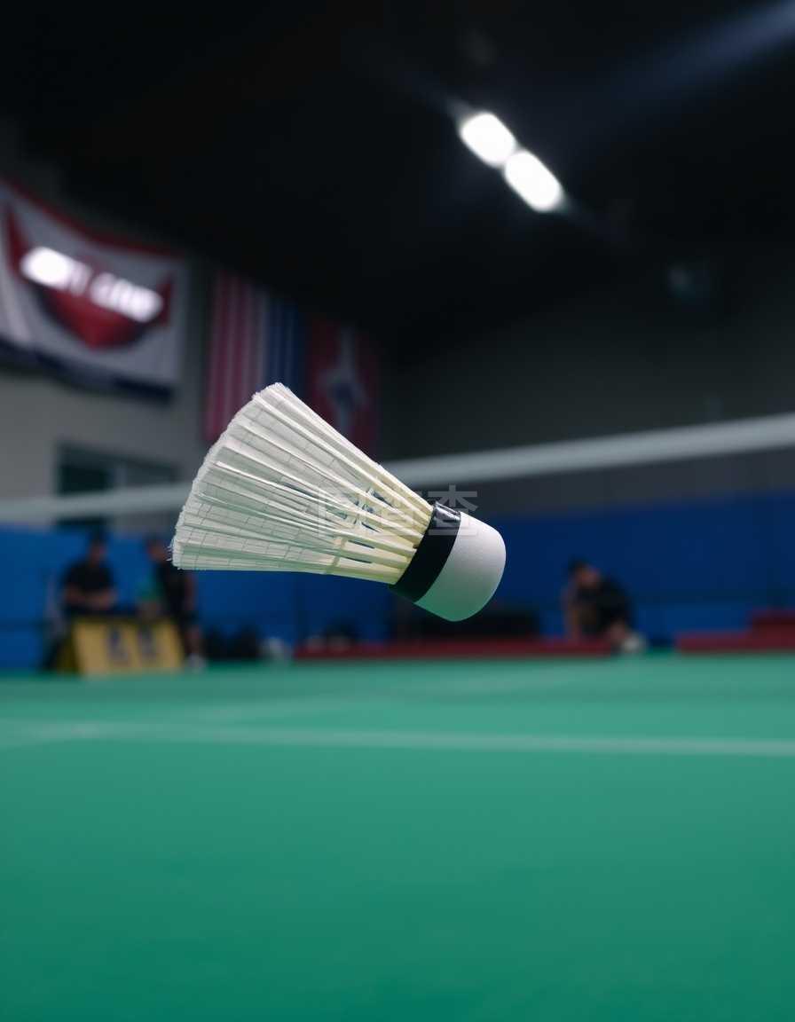 也是理解球 也是理解球