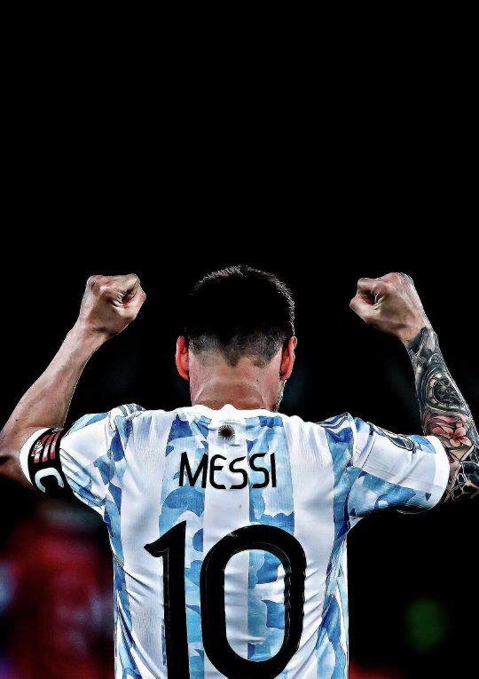 前来观赛 前来观赛