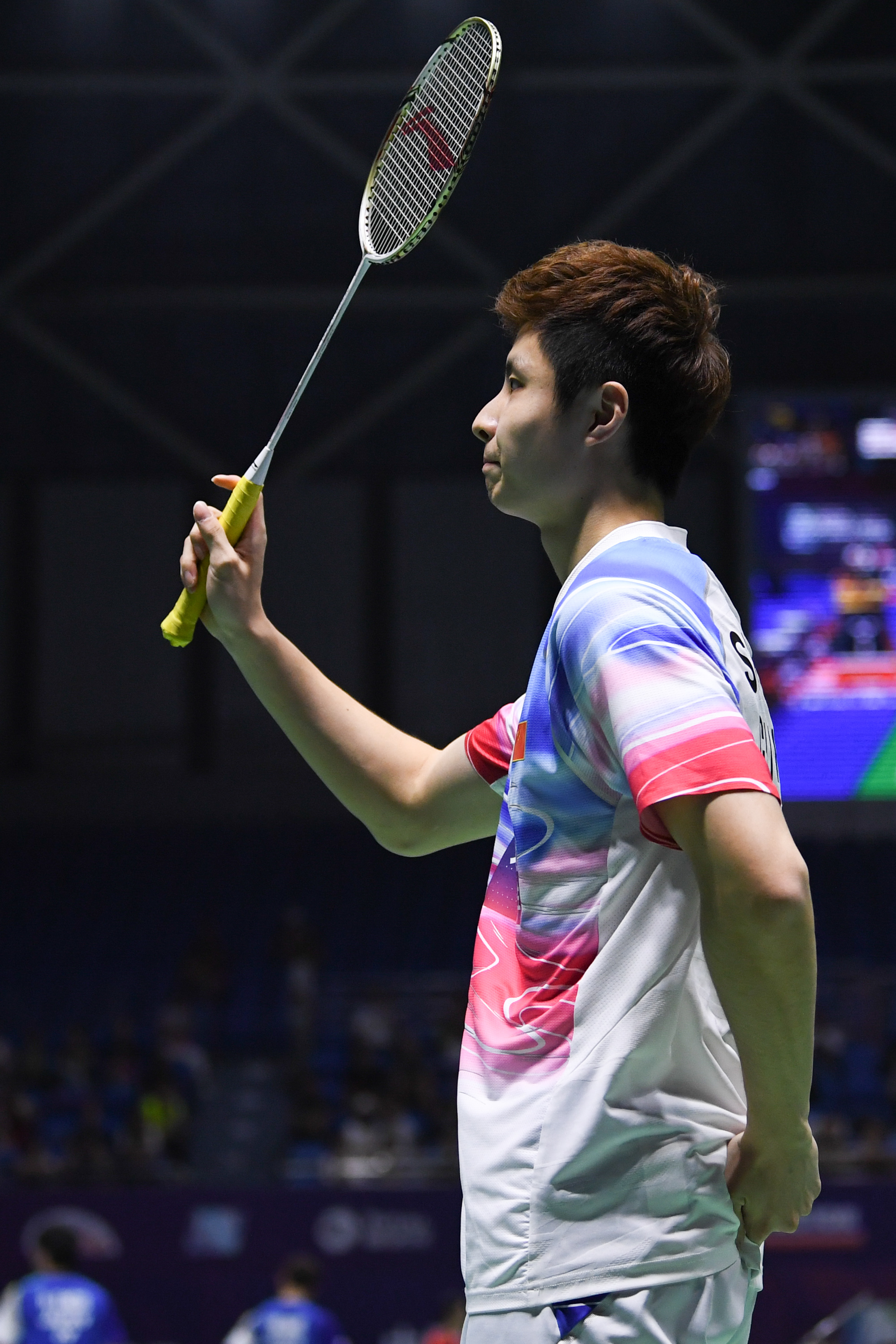 期收益的彩 期收益的彩