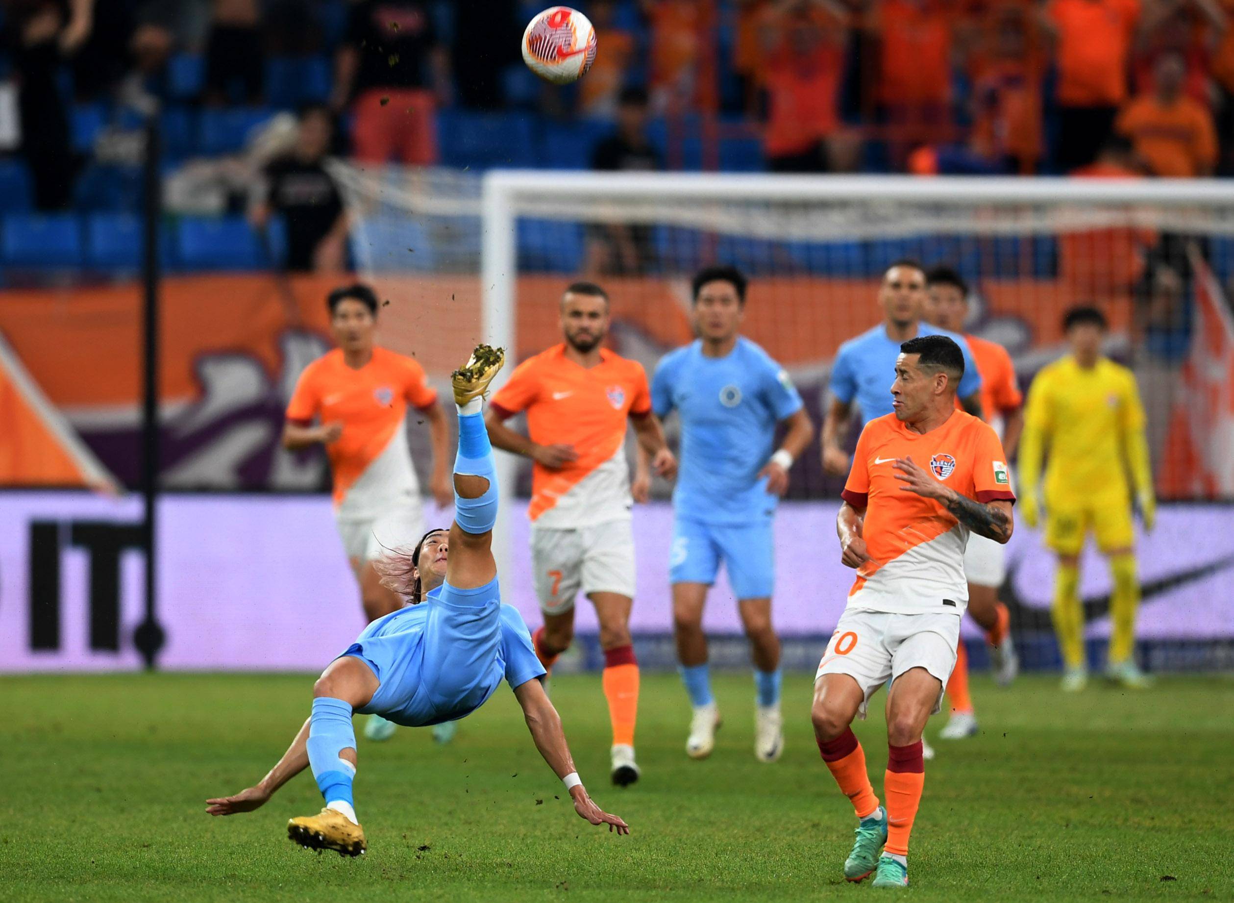 位呈现出显 位呈现出显